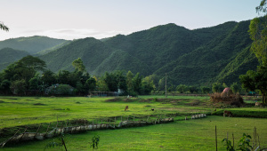 Planning a quiet trip? Netrokona offers nature without the crowd