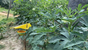 challenges of farming in varendra region