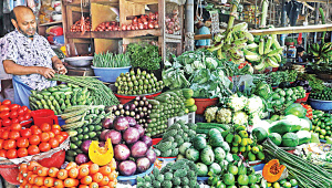Vegetable-exporters.jpg