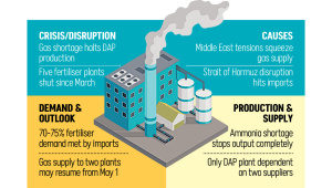 Gas Shortage Bangladesh Fertiliser Plants