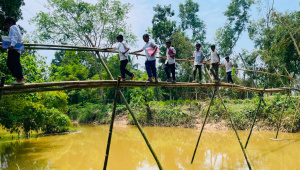 A-bamboo-bridge.jpg