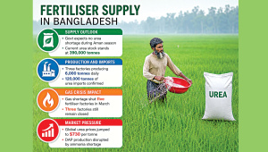 Fertilizer Supply Bangladesh