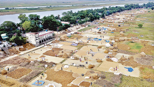 harvested-paddy.jpg