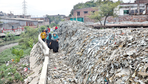 Dumped-in-huge-piles.jpg