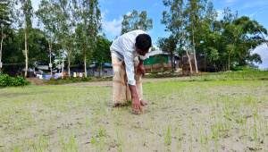 Croplands-buried-under-sand.jpg
