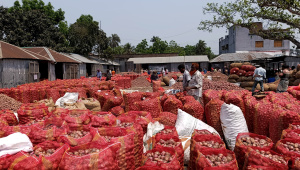 record onion production Bangladesh 2026
