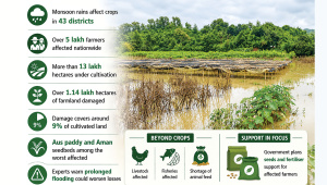 Heavy monsoon rain affects 5 lakh farmers