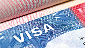 visa-law.jpg