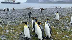 Bangladesh to Antarctica Planning the journey to the end of the world