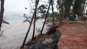 From Harani and Chanandi to Tamaruddi and Nalchira, riverbank erosion continues to destroy homes, farmland and markets, forcing thousands of families to rebuild their lives time and again. Photo: Star