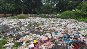 garbagwe.jpg