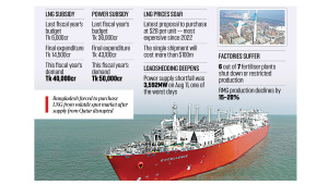lng-graph.jpg