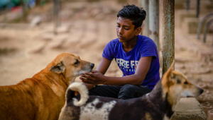 3_street dogs_Photo Joyeeta Trisha.jpg