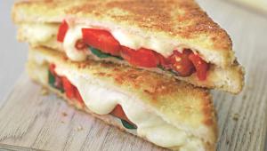 Homemade Cheese Recipes