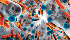 antimicrobial resistance