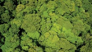 better climate action.jpg