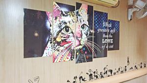 Capawcino Cat Cafe 1.jpg