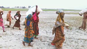 char women's life.jpg