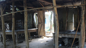 Elephants reign Sherpur.jpg