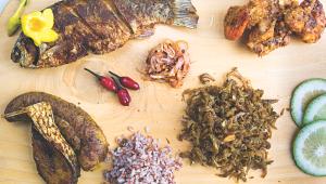 great fish debate 1.jpg