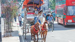 horse-drawn carriages 1.jpg