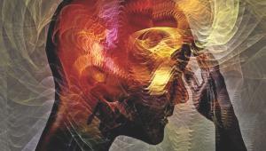 International Day of Persons with Disabilities, Human Rights Day