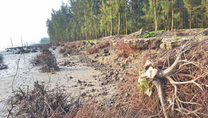 Meghna erosion.jpg