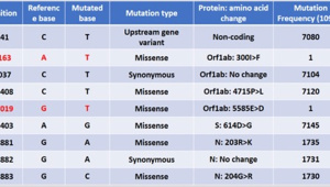 Mystery-of-SARS-CoV-2-genome.jpg