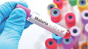 National Malaria Elimination.jpg