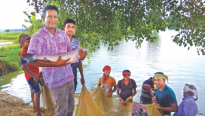 Organic food producer.jpg