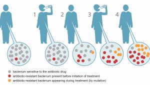 Post-antibiotic era.jpg