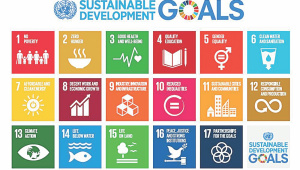sdgs.jpg