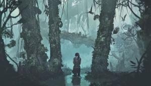 Shadow Of A Franchise