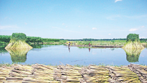 water management.jpg