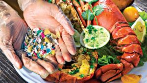 microplastic-seafood.jpg