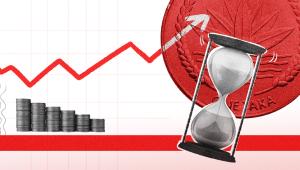 The budget does not inspire confidence