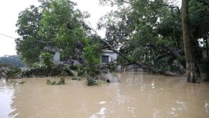 Debt cancellation for climate finance