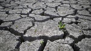 desertification-and-drought-day.jpg