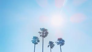 Searing summers: A journey through the hottest days on Earth