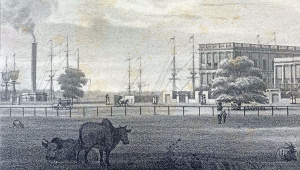 british-bengal-1.jpg
