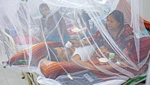 dengue-cases-continue.jpg
