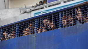 Why cancel prisoners’ right to visitation?