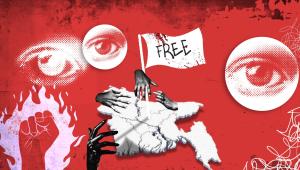 100 days of the interim government.jpg