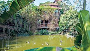 slow living lifestyle benefits