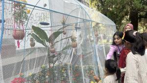 jahangirnagar butterfly fair 