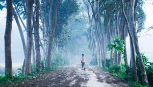 Bangladesh’s coldest season is also its most dramatic    mashiur-rahman-h4tqq8emzam-unsplash.jpg