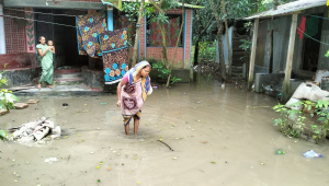 Fairdpur waterlogging news _83ca.jpg