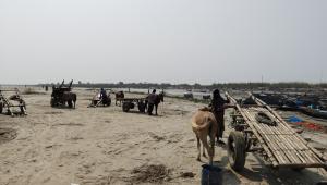 Faridpur char area news.jpg