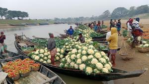 ED 1 - When winter forgets to visit.jpg