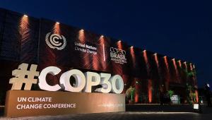 ED 2 - COP30 Gender Action Plan A victory without power.jpg